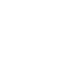 LMX logo – fitness accessoires bij BigGym